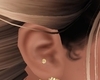 TA Gold Stud R
