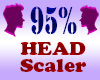 Resizer 95% Head