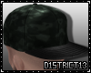 D13l Camo Cap I