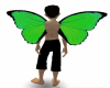 Green Wings2