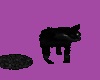 Sample Black Cat