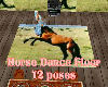 Horse dance floor 12