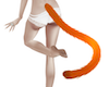 Kitts* Orange Tail v1