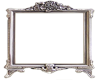 silver rose frame