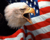 America's Eagle Ani