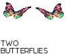Bun! 2 Butterflies