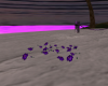 Purple Run Way Flowers
