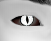 L. Male Witcher Eyes V1