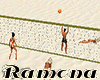 Volleyball Beach Fun