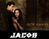 Bella & Jacob Back Drop