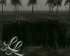 Dark Grass Animated