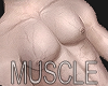 @ Muscle Perfect