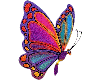 [Zyl] Rainbow Butterfly
