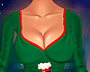 🦌 Santa Body