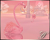 SC: Cupid Flamingos