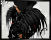 Eo* Black Crow Feathers