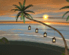 MF Tropicana Beach