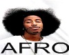 Black Afro Hair