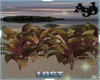 A3D* Plants 01
