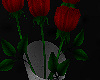 [AG] Trowa Roses