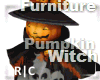 R|C Pumpkin Witch 3 FV