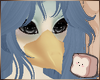 ⊹ Jay Beak V2 F