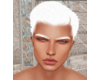 Ivory Brows 2