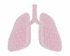 Lungs Inside Male DEV