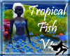 Tropical Fish V4