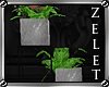 |LZ|Modern Plants