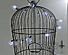 S†N Light Cage 4