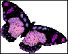 Pretty Purple Butterfly
