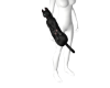 Pat  Anim catð¤