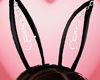 !! Bad Bunny Ears
