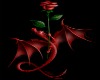 abi rose dragon tat