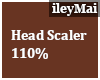 Head Resizer 110%