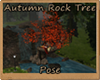 [BM] Autumn Rock Tree