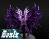 Pheonix Wings Purple