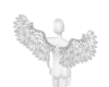 Angel Wings