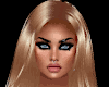 SUGAR DENIM BUNDLE LLT