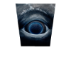 Whale Eye CutOut