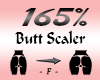 Butt / Hips Scaler 165%