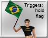 BRASIL FLAG BANDERA