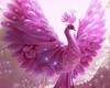 pink bird