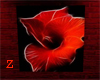 Red Bloom