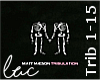 Tribulation~Matt Maeson