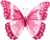*ENYO* butterfly pink