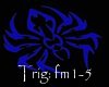 FM Part - 1