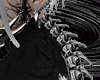 Spine