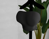 Kiari Black AB